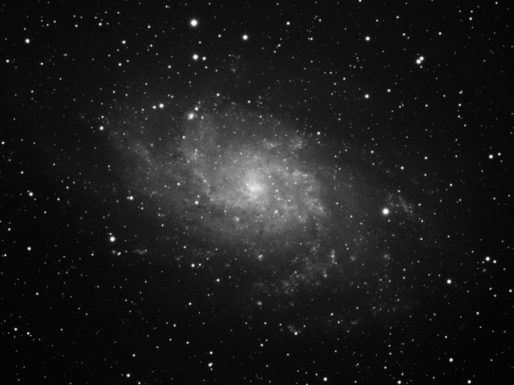 M33