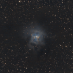 Nébuleuse de l'Iris NGC7023