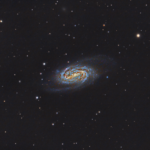 NGC2905