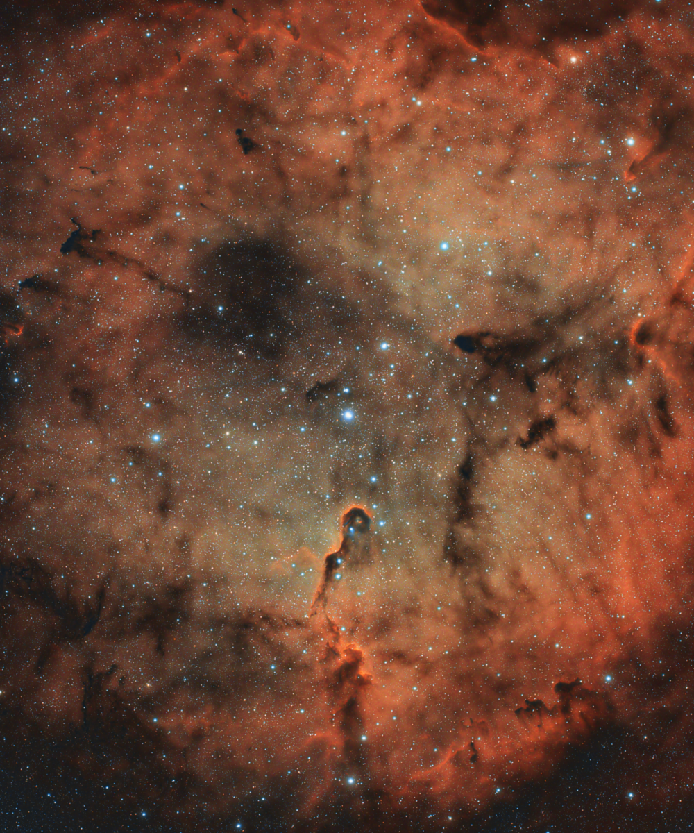 IC1396 ou Nébuleuse de la Trompe d’éléphant