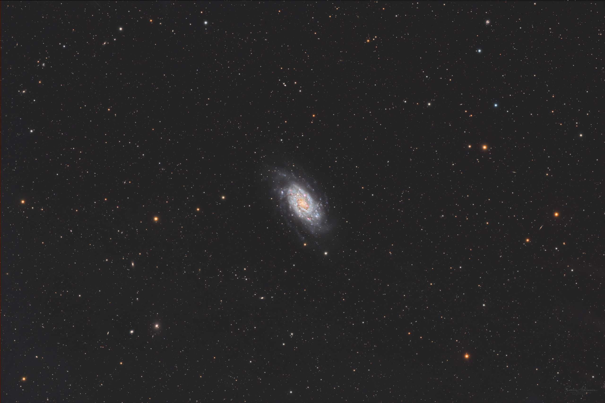 NGC2403